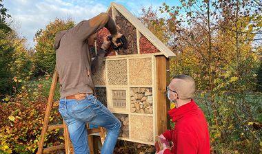 Bau des Insektenhotels