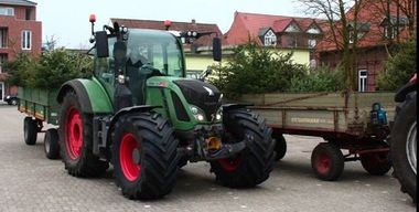 Trecker mit Tannenbäume beladen